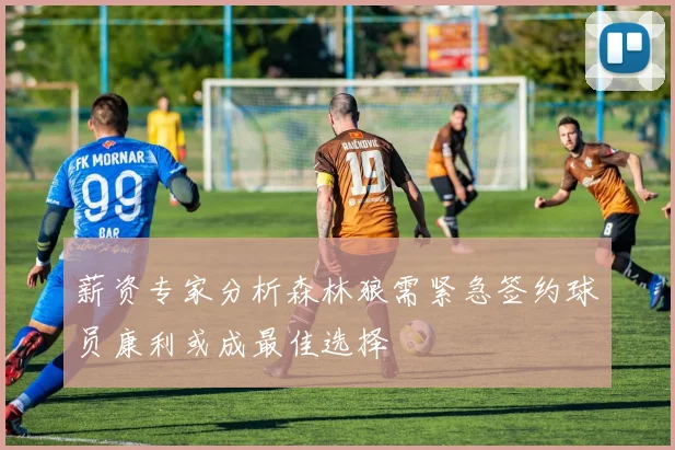薪资专家分析森林狼需紧急签约球员康利或成最佳选择