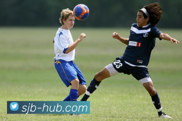 世俱杯买球网平台生态图